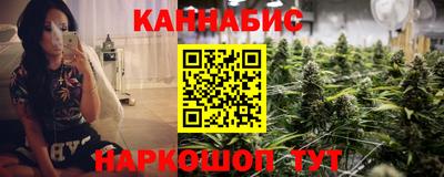 дмт Новокубанск