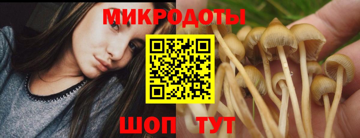 Тверь  Галлюциногенные грибы GOLDEN TEACHER  Вход с VPN 
